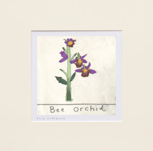 Mini Prints | Bee Orchid | Essex Wildlife Trust | Lucy Loveheart