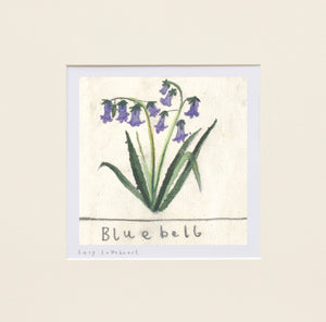 Mini Prints | Bluebell | Essex Wildlife Trust | Lucy Loveheart