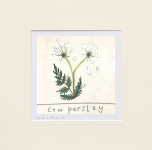 Mini Prints | Cow Parsley | Essex Wildlife Trust | Lucy Loveheart
