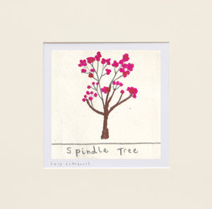 Mini Prints | Spindle Tree | Essex Wildlife Trust | Lucy Loveheart