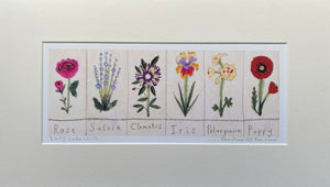 Studio Print Seconds | The Stars Of The Show Art Print | Lucy Loveheart